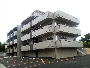 石川嘉手苅01.jpg